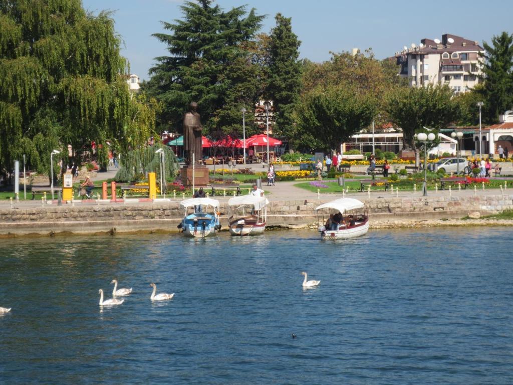 Apartments Jovan City Center With Free Parking Ohrid Extérieur photo